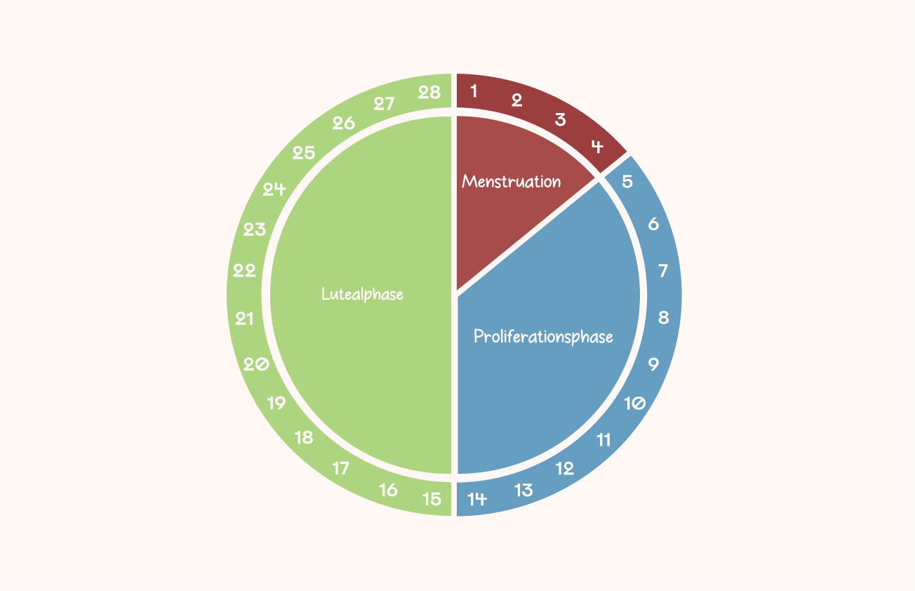 Kreisdiagramm zeigt die Phasen des Menstruationszyklus mit den Abschnitten Menstruation, Proliferationsphase und Lutealphase, nummeriert von 1 bis 28 Tagen.