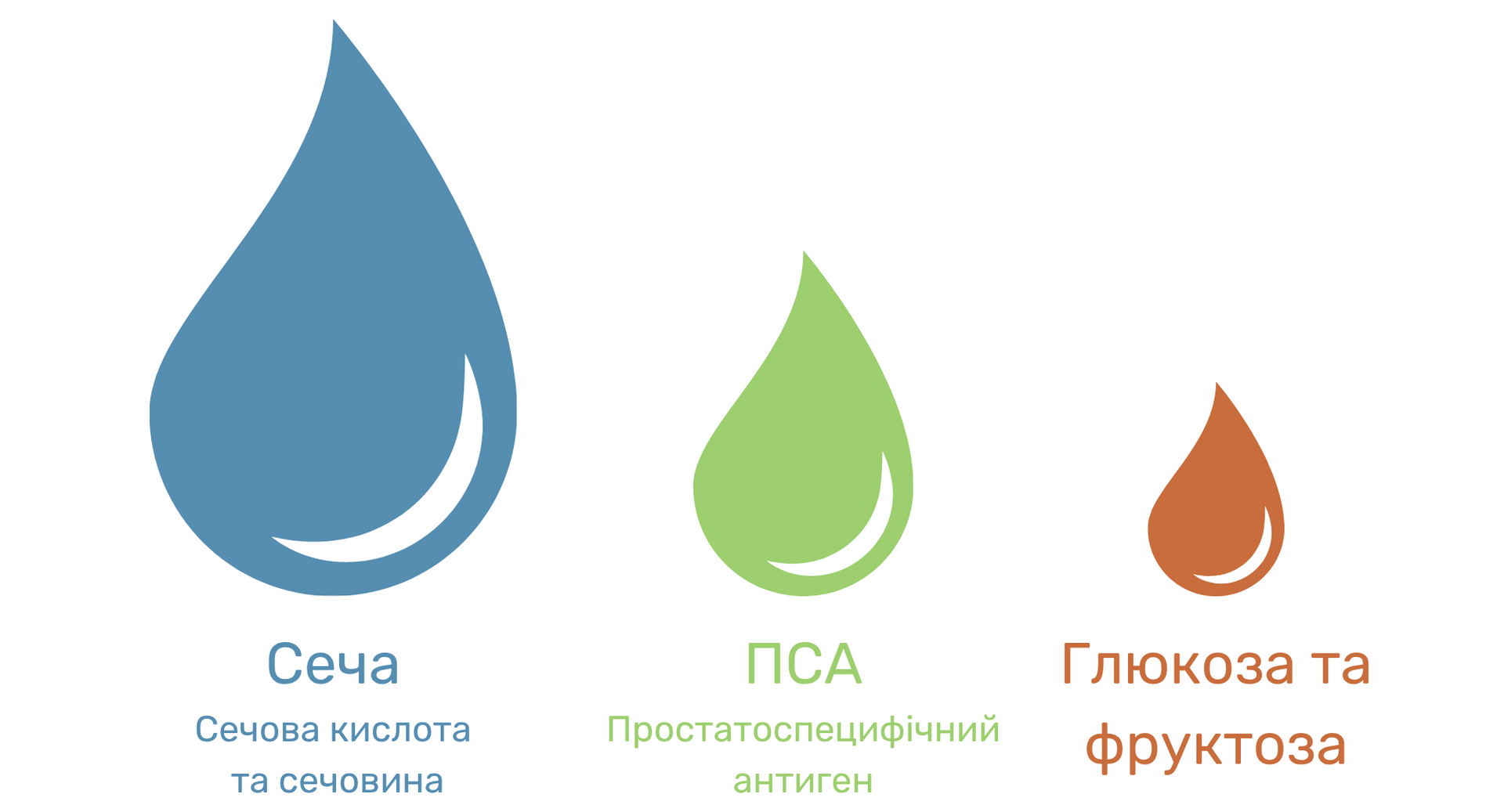  Три краплі різного розміру синього, зеленого та помаранчевого кольорів із написами «Сеча, сечова кислота та сечовина», «PSA, простатоспецифічний антиген» та «Глюкоза та фруктоза»